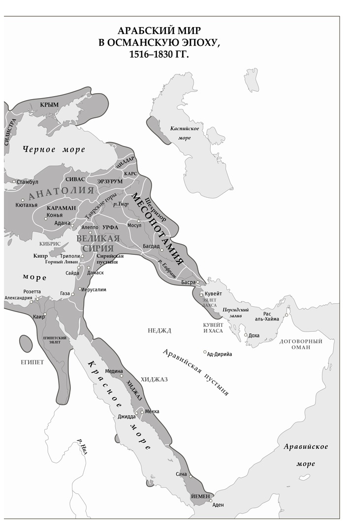 Иллюстрация к книге — Арабы. История. XVI–XXI вв. [i_003.jpg]
