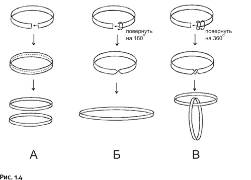 Иллюстрация к книге — Карнавал молекул [i_004.jpg]