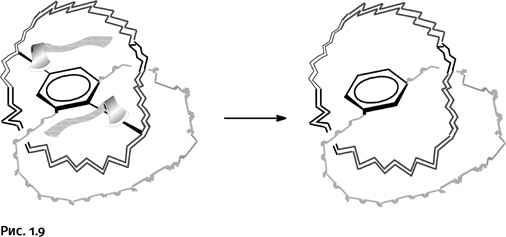 Иллюстрация к книге — Карнавал молекул [i_009.jpg]