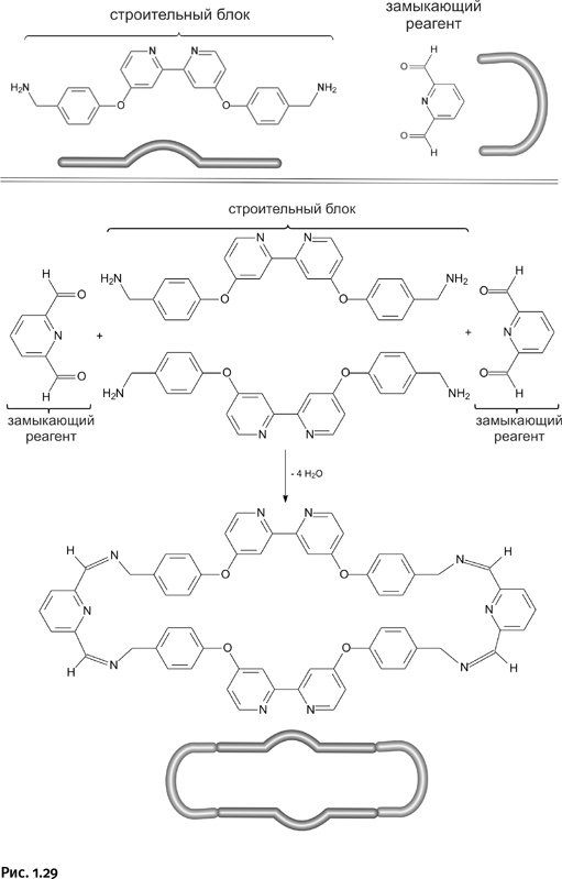 Иллюстрация к книге — Карнавал молекул [i_029.jpg]