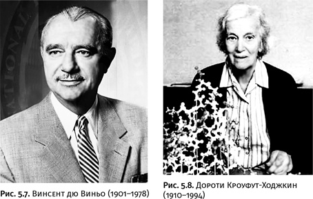 Иллюстрация к книге — Карнавал молекул [i_235.jpg]