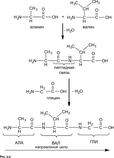 Иллюстрация к книге — Карнавал молекул [i_236.jpg]