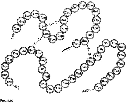 Иллюстрация к книге — Карнавал молекул [i_237.jpg]