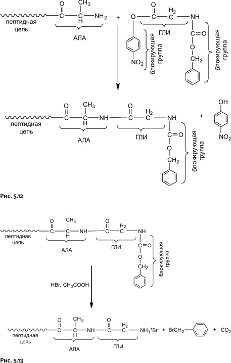 Иллюстрация к книге — Карнавал молекул [i_239.jpg]