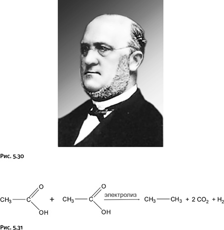 Иллюстрация к книге — Карнавал молекул [i_255.jpg]