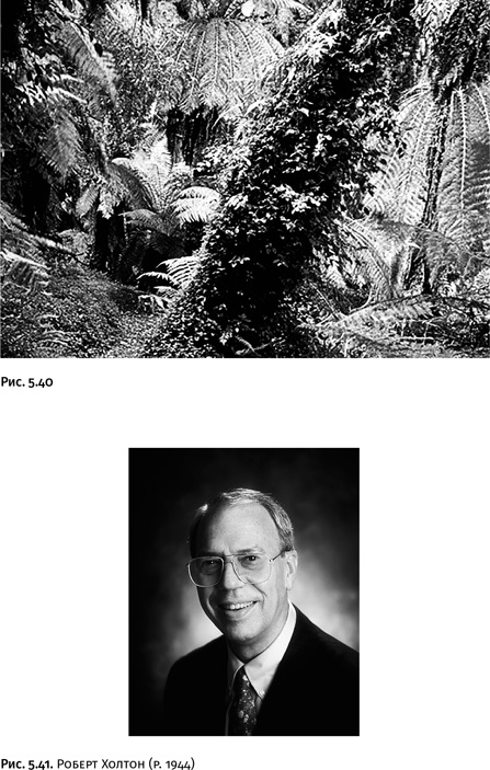 Иллюстрация к книге — Карнавал молекул [i_263.jpg]