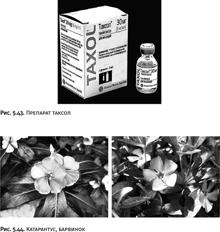 Иллюстрация к книге — Карнавал молекул [i_265.jpg]