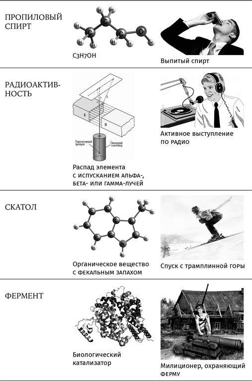 Иллюстрация к книге — Карнавал молекул [i_454.jpg]