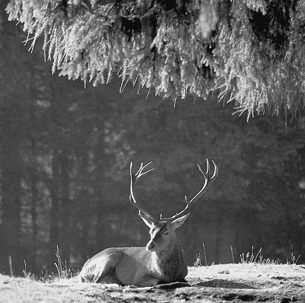 Иллюстрация к книге — Италия. Страна моря и солнца  [i_010.jpg]