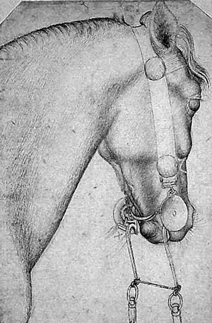 Иллюстрация к книге — Италия. Страна моря и солнца  [i_053.jpg]