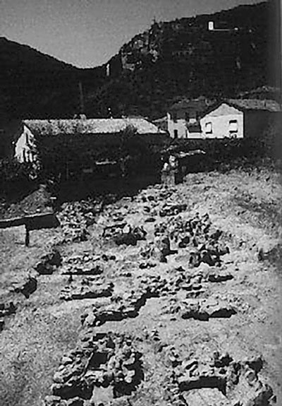 Иллюстрация к книге — Италия. Страна моря и солнца  [i_094.jpg]