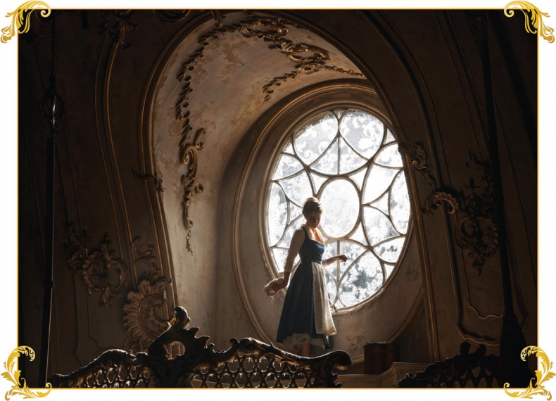 Иллюстрация к книге — Красавица и Чудовище. Сила любви  [i_014.jpg]