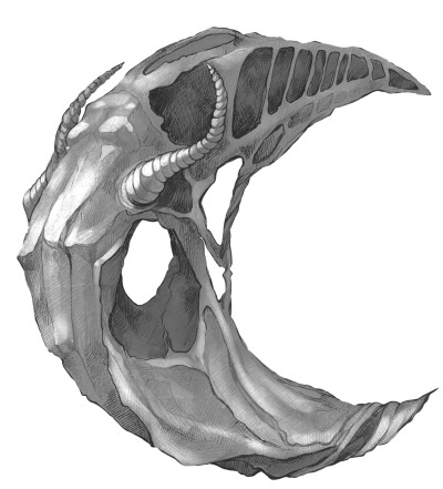 Иллюстрация к книге — Земля случайных чисел [_002.jpg]