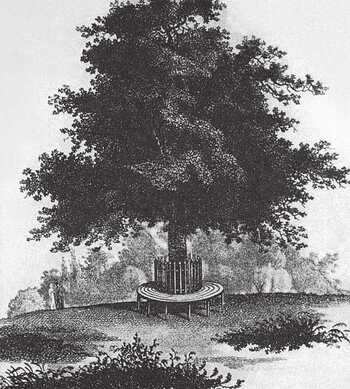 Иллюстрация к книге — Поэзия садов [i_057.jpg]