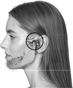 Иллюстрация к книге — Не дай голове расколоться! [i_010.jpg]