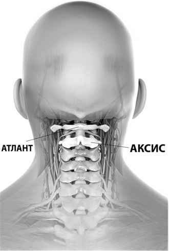 Иллюстрация к книге — Не дай голове расколоться! [i_011.jpg]