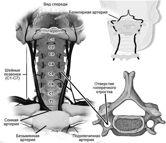 Иллюстрация к книге — Не дай голове расколоться! [i_021.jpg]