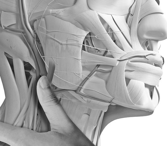 Иллюстрация к книге — Не дай голове расколоться! [i_093.jpg]