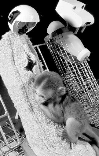 Иллюстрация к книге — Если ты такой умный, почему несчастный [i_009.jpg]