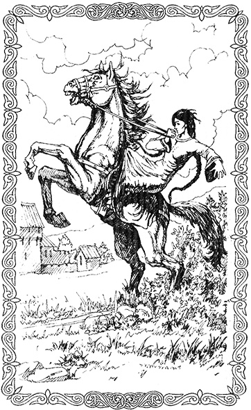 Иллюстрация к книге — Фея тумана [ris1.jpg]