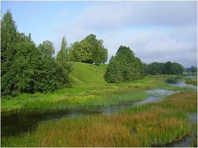 Иллюстрация к книге — Закат северных крестоносцев. «Война коадъюторов» и борьба за Прибалтику в 1550-е гг. [i_041.jpg]