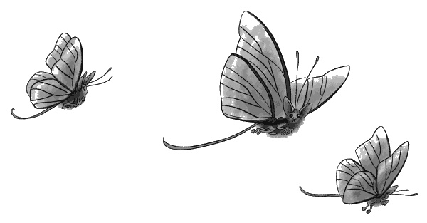 Иллюстрация к книге — Последняя из рода [i_001.jpg]