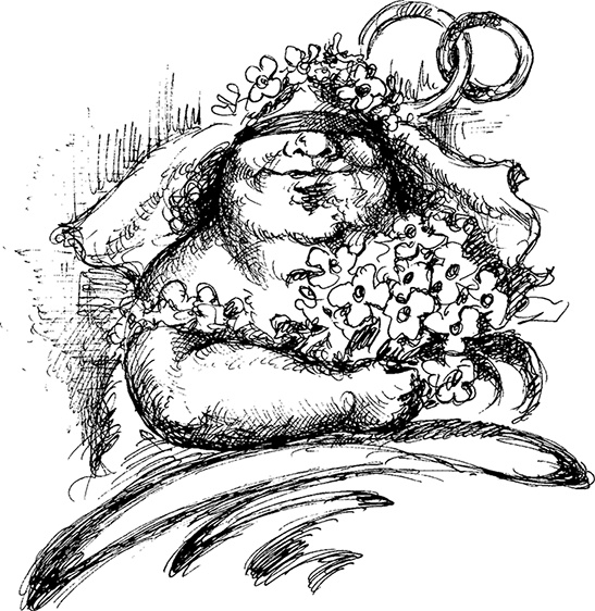 Иллюстрация к книге — Адвокат для дилетантов [i_006.jpg]