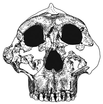 Иллюстрация к книге — Почти человек [i_004.jpg]