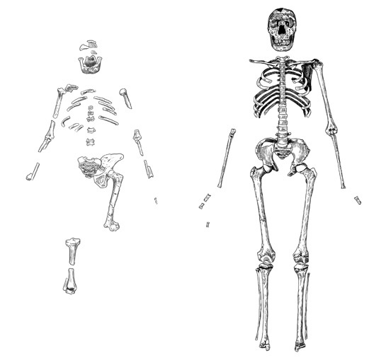 Иллюстрация к книге — Почти человек [i_005.jpg]