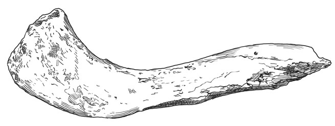 Иллюстрация к книге — Почти человек [i_008.jpg]