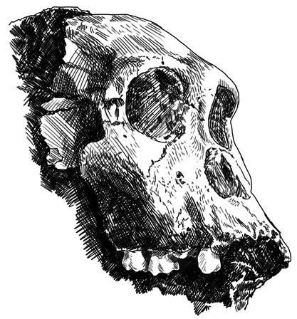 Иллюстрация к книге — Почти человек [i_010.jpg]