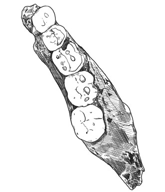 Иллюстрация к книге — Почти человек [i_011.jpg]