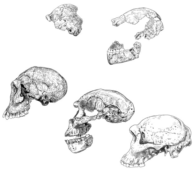 Иллюстрация к книге — Почти человек [i_016.jpg]