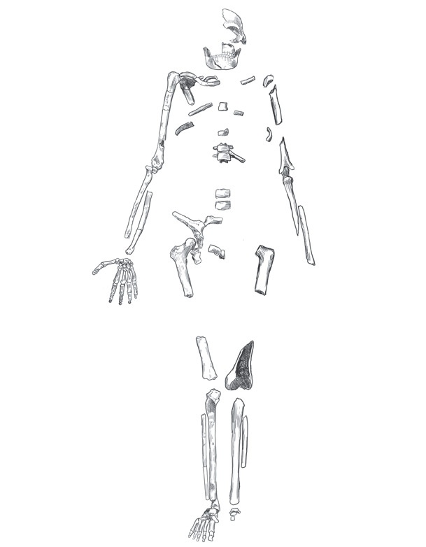 Иллюстрация к книге — Почти человек [i_017.jpg]