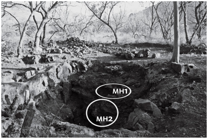 Иллюстрация к книге — Почти человек [i_022.jpg]