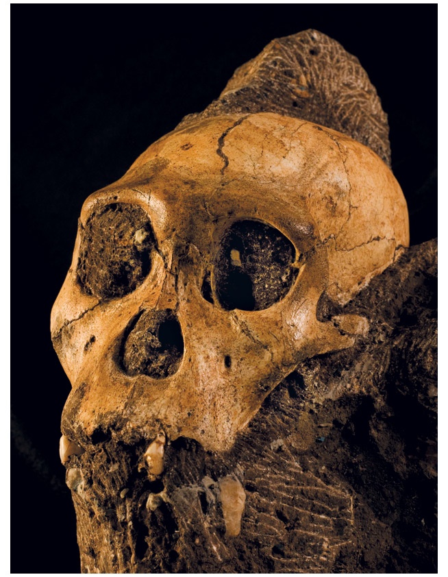 Иллюстрация к книге — Почти человек [i_025.jpg]