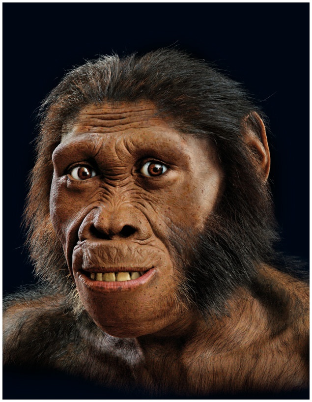 Иллюстрация к книге — Почти человек [i_033.jpg]