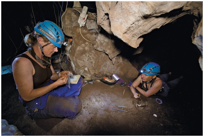 Иллюстрация к книге — Почти человек [i_042.jpg]