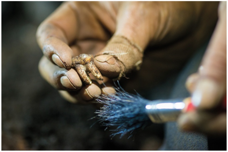 Иллюстрация к книге — Почти человек [i_045.jpg]