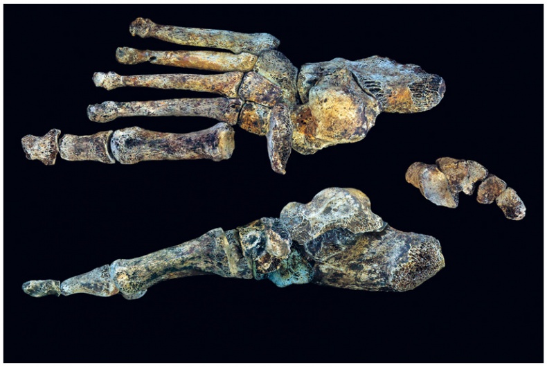 Иллюстрация к книге — Почти человек [i_046.jpg]