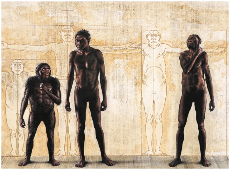 Иллюстрация к книге — Почти человек [i_050.jpg]