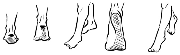 Иллюстрация к книге — Красивое долголетие [i_004.jpg]