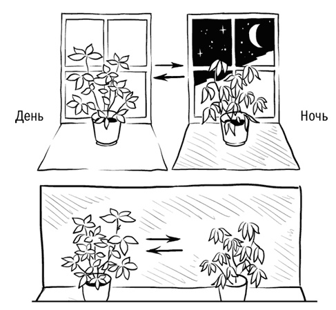 Иллюстрация к книге — Красивое долголетие [i_010.jpg]