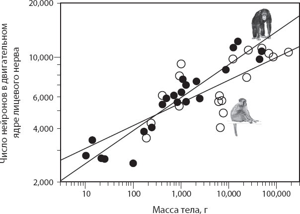 Иллюстрация к книге — Мозг. Такой ли он особенный? [_49.jpg]