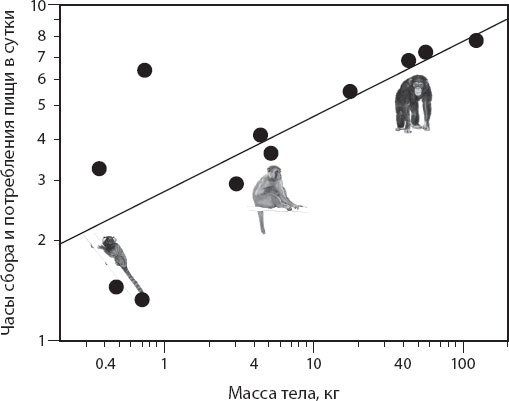 Иллюстрация к книге — Мозг. Такой ли он особенный? [_72.jpg]