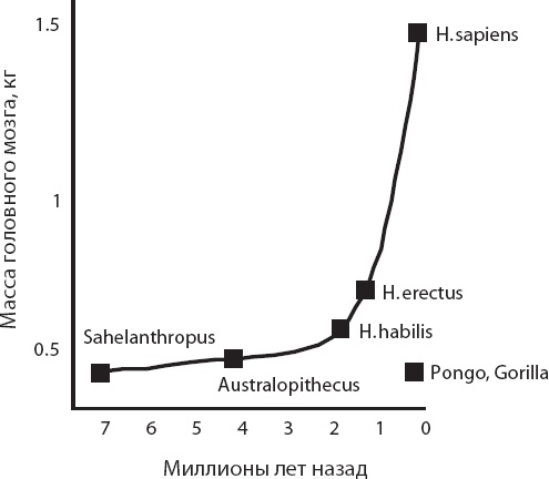 Иллюстрация к книге — Мозг. Такой ли он особенный? [_75.jpg]