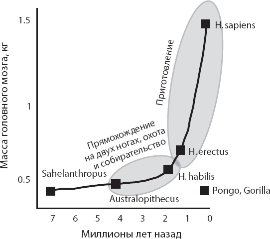Иллюстрация к книге — Мозг. Такой ли он особенный? [_76.jpg]
