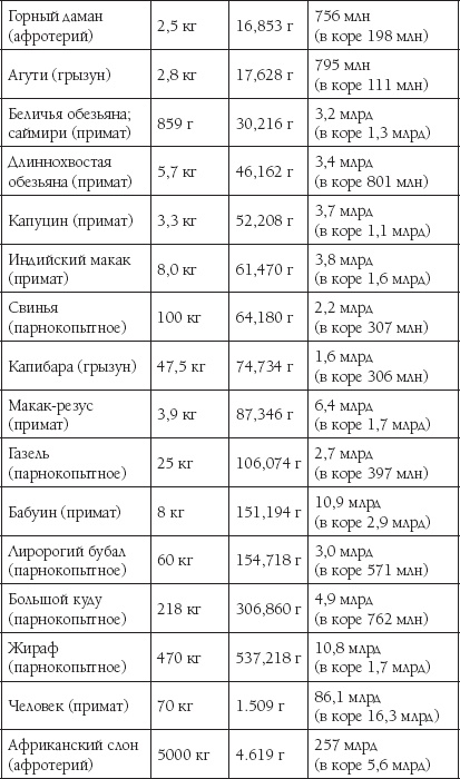 Иллюстрация к книге — Мозг. Такой ли он особенный? [_81.jpg]