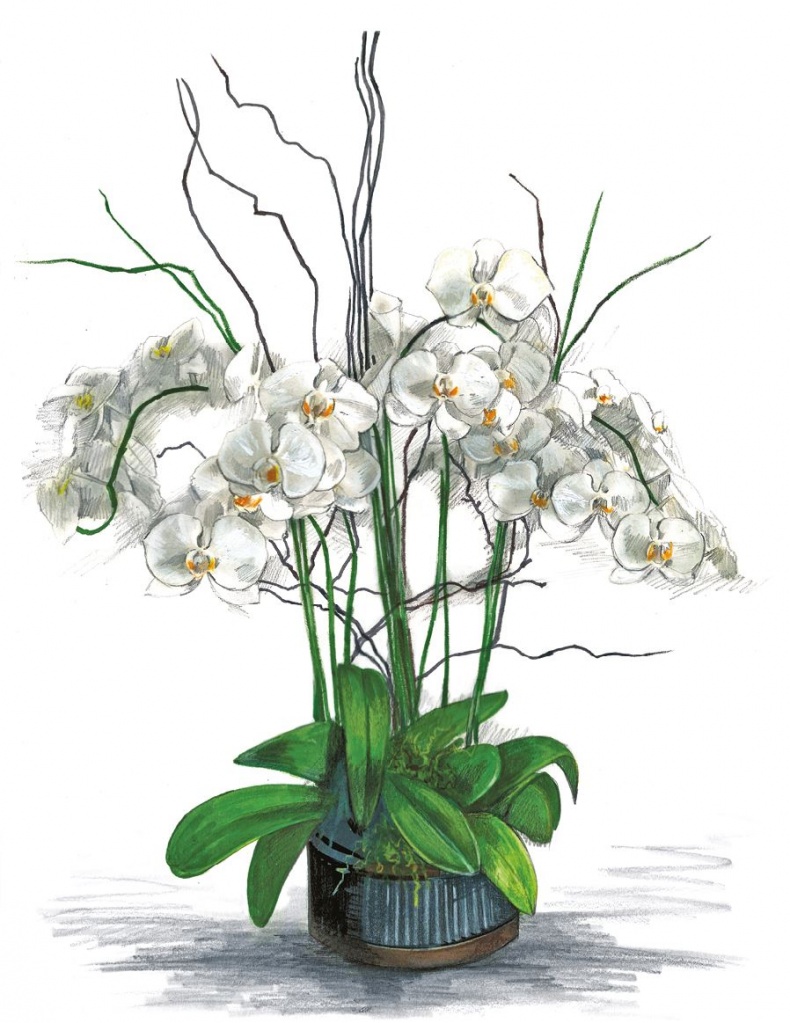 Иллюстрация к книге — Оденься для успеха [i_042.jpg]