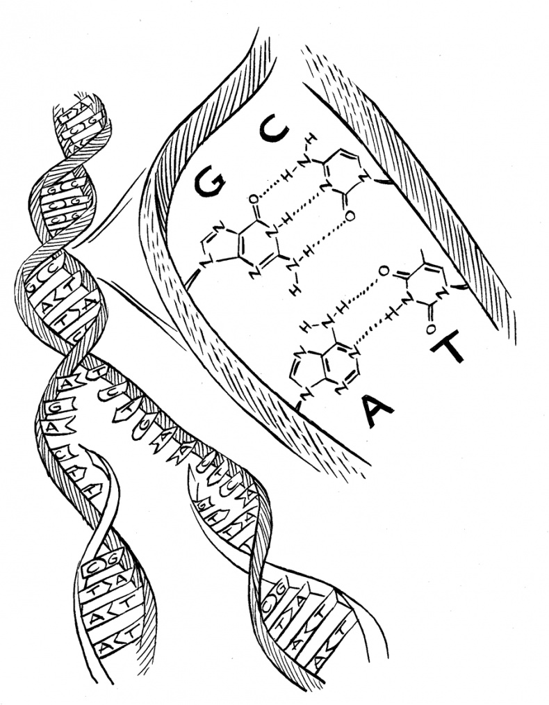 Иллюстрация к книге — Трещина в мироздании [i_003.jpg]